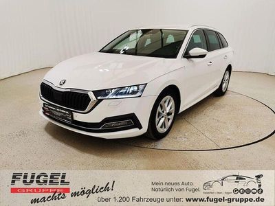 Gebraucht Skoda Octavia First Edition 150 PS (110 kW) 2020 Candyweiss Kombi