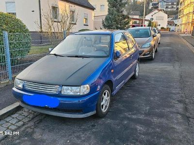 VW Polo