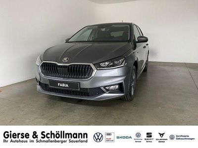 Grau Neu 2025 Skoda Fabia Tour Limousine | 22.650 € (Etwas zu teuer)
