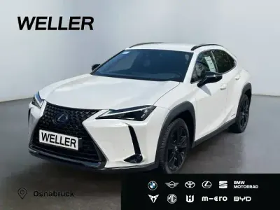 Usado Lexus UX 250h