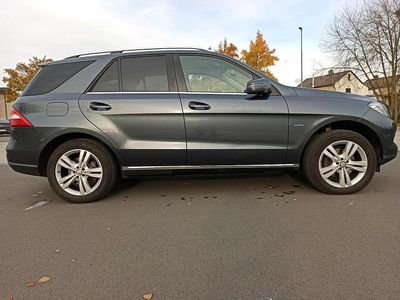 Grau Gebraucht 2012 Mercedes ML350 SUV | 19.500 € (Etwas zu teuer)