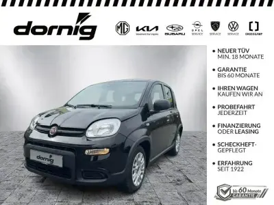 Używany Fiat Panda