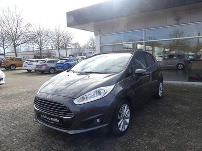 Gebraucht Ford Fiesta Titanium 101 PS (74 kW) 2017 Grau Kleinwagen