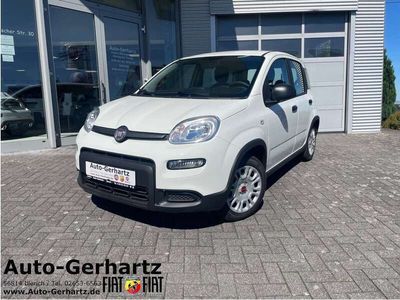 gebraucht Fiat Panda 