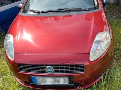 gebraucht Fiat Punto neu service neu TÜV