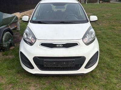 Gebraucht Kia Picanto 69 PS (50 kW) 2014 Weiß Kleinwagen