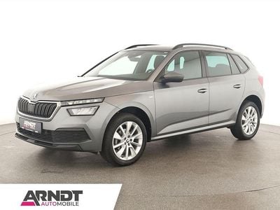 Gebraucht Skoda Kamiq Tour 110 PS (80 kW) 2023 Graphitegrau SUV