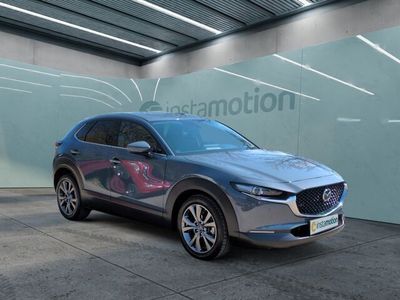 Gebraucht Mazda CX-30 Selection 179 PS (131 kW) 2021 Grau SUV