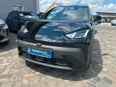 Neu BYD Dolphin Surf Comfort 114 kW (156 PS) 2025 Polar night black Kleinwagen
