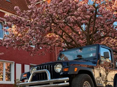 Gebraucht Jeep Wrangler