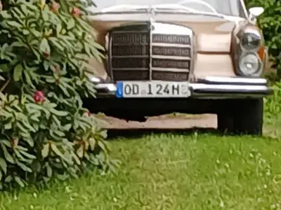 Gebraucht Mercedes 250 140 PS (102 kW) 1967 Gold Limousine