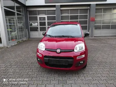 Gebraucht Fiat Panda Easy 69 PS (50 kW) 2015 Rot Kleinwagen