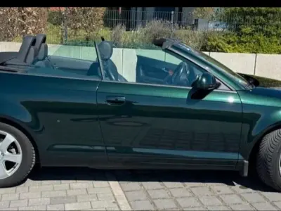 Gebraucht Audi A3 Cabriolet Ambition 160 PS (117 kW) 2009 Grün Cabrio