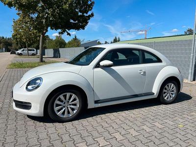VW Beetle
