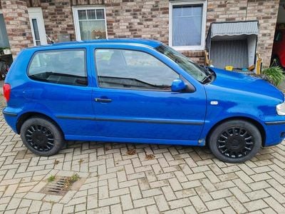 VW Polo