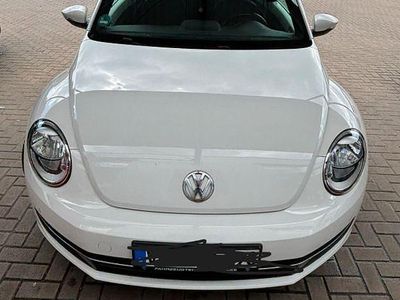 VW Beetle