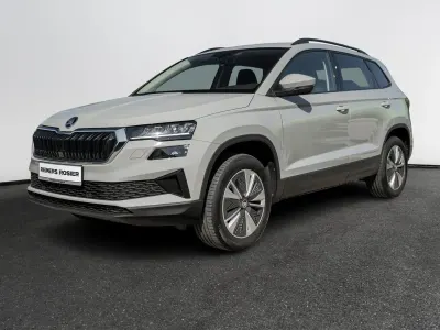 Gebraucht Skoda Karoq Ambition 150 PS (110 kW) 2023 Grau SUV
