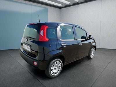 Schwarz Neu 2025 Fiat Panda Kleinwagen | 14.990 € (Fairer Preis)