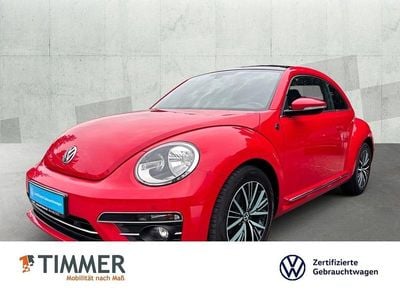 VW Beetle