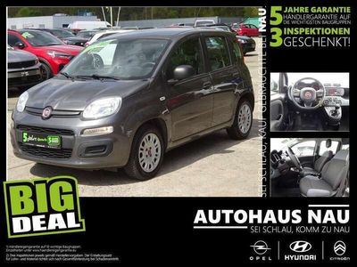 gebraucht Fiat Panda 1.2 8V Easy inkl. Inspektionspaket BigDeal