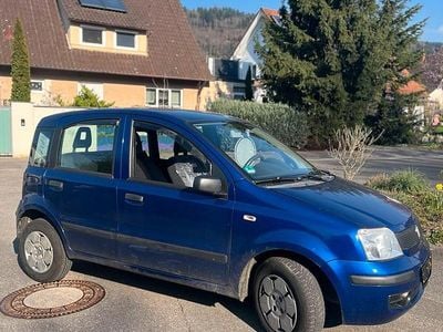 Gebraucht Fiat Panda 54 PS (39 kW) 2009 Blau Kleinwagen