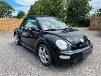 VW Beetle