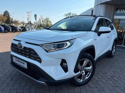Gebraucht Toyota RAV4 Hybrid Lounge 222 PS (163 kW) 2019 Weiß SUV