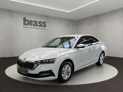 Gebraucht Skoda Octavia Ambition 116 PS (85 kW) 2022 Moonweiß perleffekt / moonweiss metallic Limousine