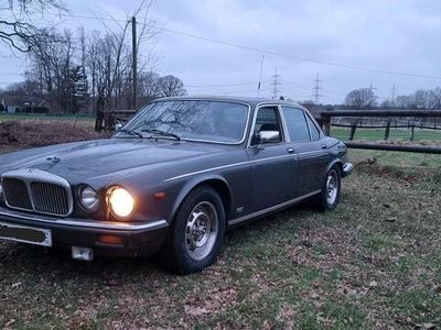 gebraucht Jaguar XJ12 Double Six Serie 3