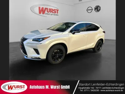 Brugt Lexus NX300h 155 HK (114 kW) 2021 Hvid SUV