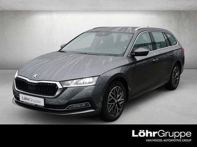 Gebraucht Skoda Octavia Style 150 PS (110 kW) 2024 Grau Kombi