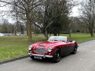 Gebraucht Austin Healey 100/6 150 PS (110 kW) 1959 Rot Cabrio