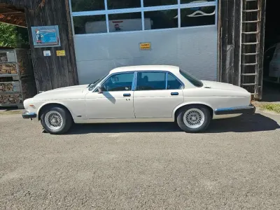 Gebraucht Jaguar XJ6 204 PS (150 kW) 1984 Weiß Limousine