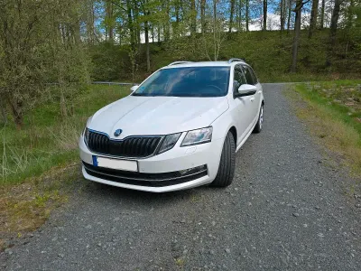 Gebraucht Skoda Octavia Style 150 PS (110 kW) 2019 Weiß Kombi