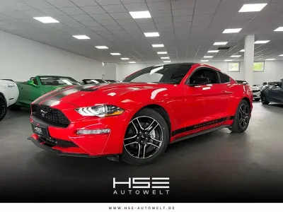 Occasion Ford Mustang