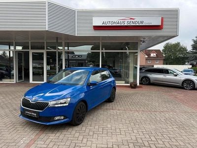Gebraucht Skoda Fabia Cool Plus 60 PS (44 kW) 2020 Blau Kleinwagen
