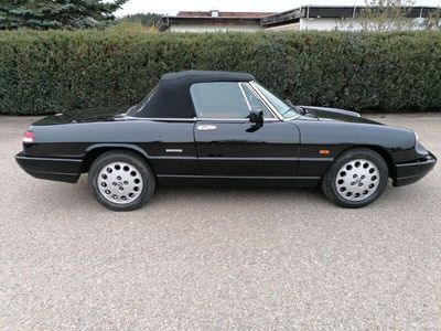 gebraucht Alfa Romeo Spider Serie 4 in sehr gutem Zustand