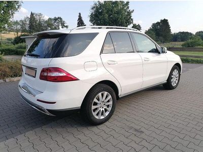 Mercedes ML250