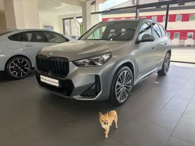 Gebraucht BMW X1 M Sport 211 PS (155 kW) 2024 Grau SUV