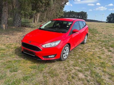 Usata Ford Focus Business Edition 125 CV (91 kW) 2017 Rosso Berlina