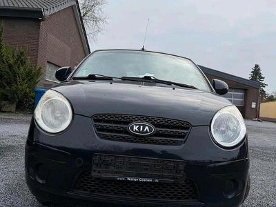 Usata Kia Picanto 65 CV (47 kW) 2008 Nero Utilitaria