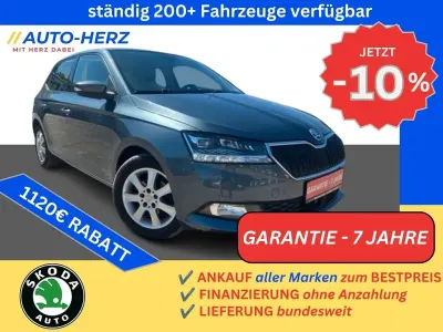 Gebraucht Skoda Fabia Style 95 PS (69 kW) 2020 Grau Kleinwagen