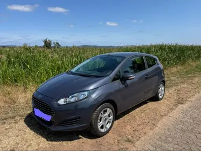 Gebraucht Ford Fiesta 75 PS (55 kW) 2014 Grau Kleinwagen