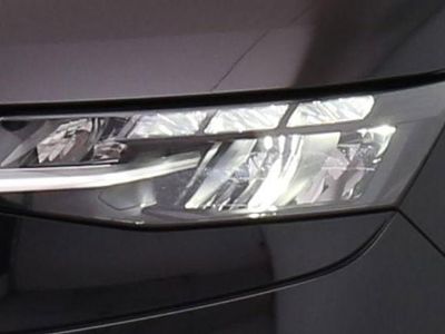 Neu VW California California 150 PS (110 kW) 2026 Van