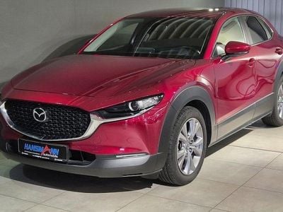 Gebraucht Mazda CX-30 Selection 186 PS (136 kW) 2019 Rot SUV