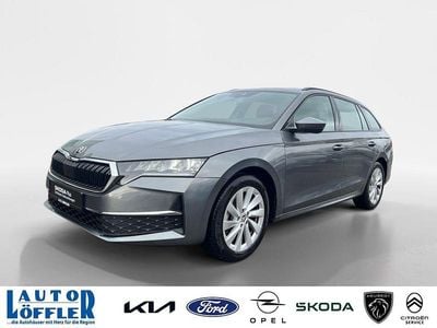 Gebraucht Skoda Octavia Selection 150 PS (110 kW) 2024 Grau Kombi