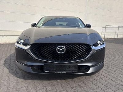 Neu Mazda CX-30 Homura-Line 140 PS (102 kW) 2026 SUV