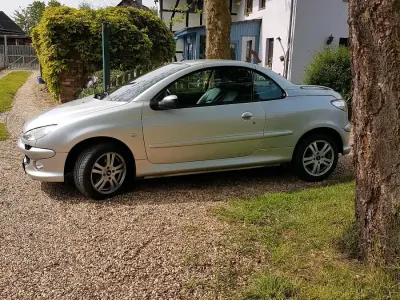 Usata Peugeot 206 CC 108 CV (79 kW) 2005 Argento Cabrio