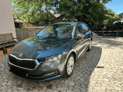 Gebraucht Skoda Octavia Style 150 PS (110 kW) 2020 Grau Kombi