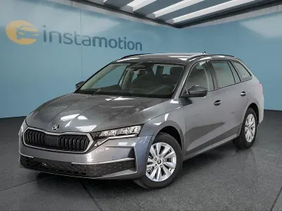 Neu Skoda Octavia 150 PS (110 kW) 2026 Grau Kombi